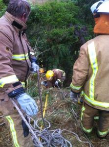 Awakino Crash Scene